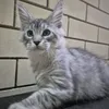 Boy - фото 3