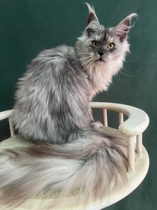JADE SERENITY