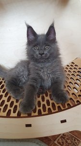 Hilda