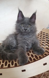 Hilda
