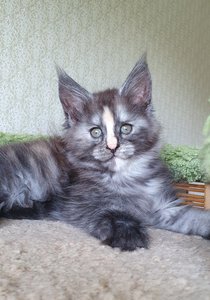 Юлжина