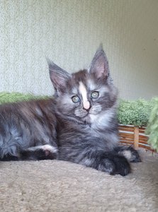 Юлжина