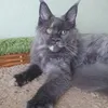 Божена - фото 4