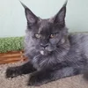 Божена - photo 3
