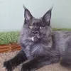 Божена - фото 2