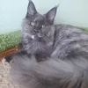 Божена - photo 1