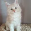 Елисей - фото 2