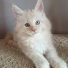 Елисей - фото 3