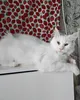 Нажмите для просмотра всех фото Ксюша