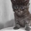 Гаечка - фото 1