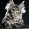 Alduin - photo 3