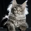 Alduin - photo 2