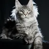 Alduin - photo 5