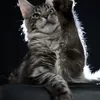 Alduin - photo 3