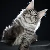 Alduin - photo 8