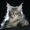 Eddie - фото 2