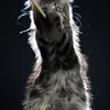 Fenrir - photo 1