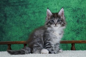 Elka