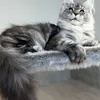 Tutsy - фото 1