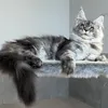 Tutsy - фото 3