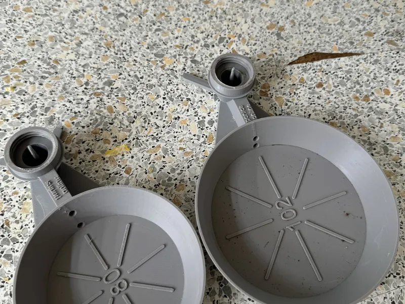 Котенок мейн-кун Белай с разными глазами MCO w 63 Мальчик