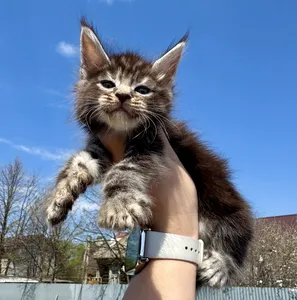 Pixel