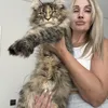 Видео котёнка Rafaela