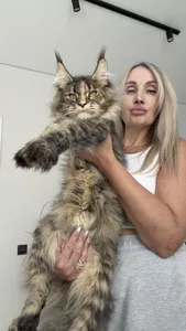 Rafaela