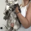 Tutsy - photo 3