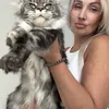 Tutsy - photo 1