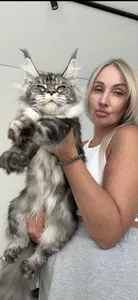 Tutsy