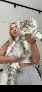 Samanta