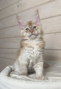 Duncan