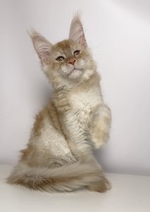 Duncan
