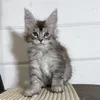 Mia - фото 2
