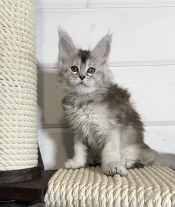 Milka