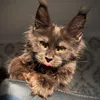 Berry - фото 17