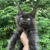 Луиза - фото 3