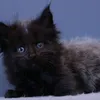 Вашингтон - фото 3