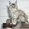 Barbi - фото 1
