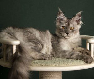 JADE SERENITY
