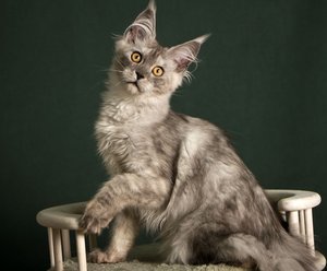 JADE SERENITY