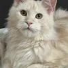 FULL CONTACT - photo 3
