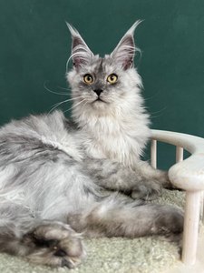 JADE SERENITY