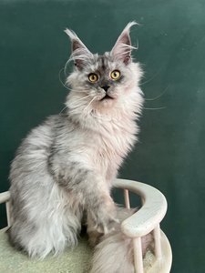 JADE SERENITY