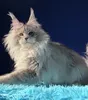 Нажмите для просмотра всех фото Remus