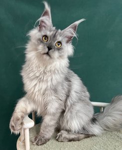 JADE SERENITY