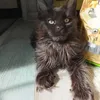 Луиза - фото 1
