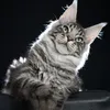 Alduin - photo 1