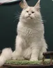 Нажмите для просмотра всех фото Дубай